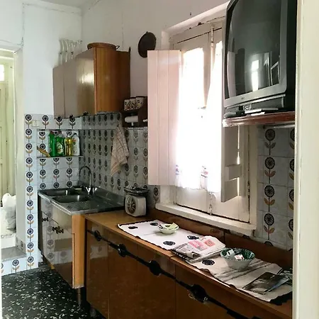 Titas House * Curinga