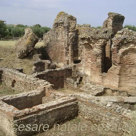 Titas House Curinga